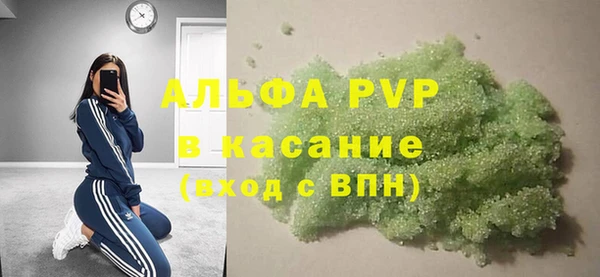 гашик Алексин
