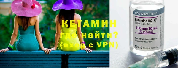 гашик Алексин