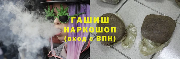гашик Алексин
