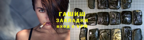 гашик Алексин