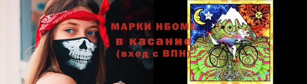 гашик Алексин