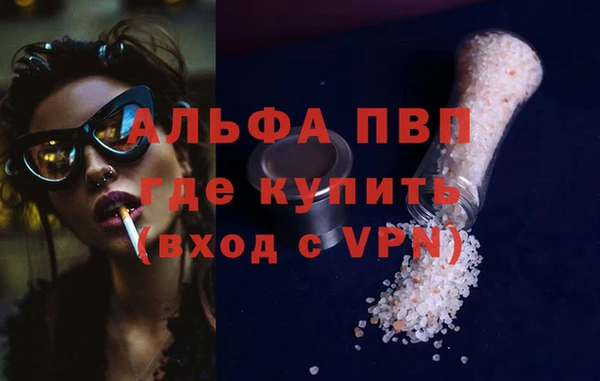 гашик Алексин