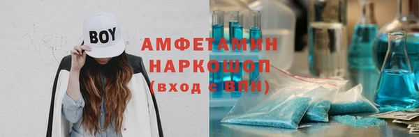 гашик Алексин