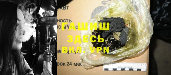 гашик Алексин